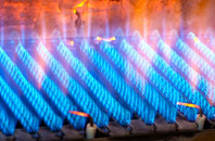Sandyford gas fired boilers